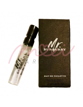 Burberry Mr. Burberry, EDP - Vzorek vůně