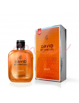 David By Chatler Sport, Parfumovaná voda 100ml ( Alternatíva vône David Beckham Instinct Sport)